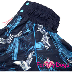 Дождевик синий Wings для мопсов и французов