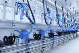 ТО ДОИЛЬНОГО ЗАЛА ПАРАЛЛЕЛЬ 6 МЕС