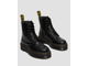 Ботинки Dr Martens 1460 JADON женские черные на платформе