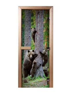 Дверь Стеклянная фотопечать «Мишки» 8мм (3 петли)  Размер (с коробкой): 1,9м*70см