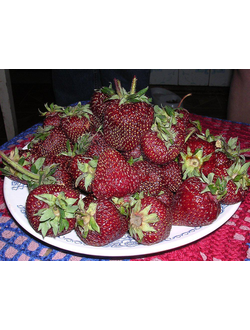 Черный принц