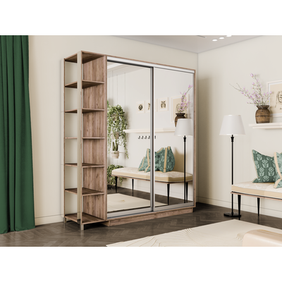 Шкаф-купе Дуо-Экспенс-2 1200*600*2400