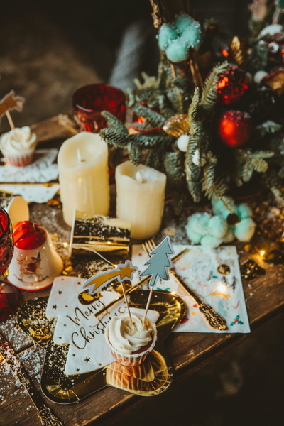 Оформление фотосессии в новогодних оттенках № 1469