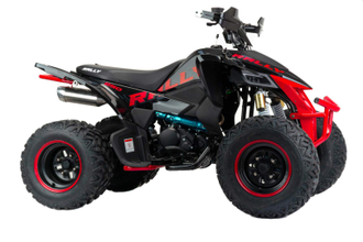 Квадроцикл VOX250 RALLY