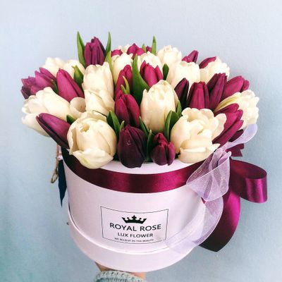 45 Премиум тюльпанов в коробке