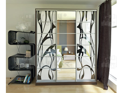 Шкаф-купе Ариадна 014