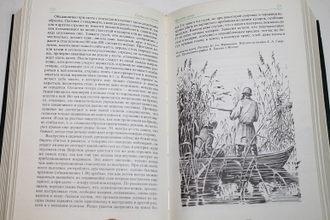 Сабанеев Л.П. Охотничьи птицы. Труды по охоте. М.: Физкультура и спорт. 1989г.