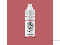 Пигменты для перманентного макияжа Face Карамель в pm-shop24.ru