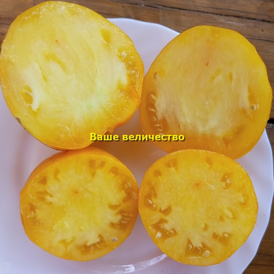 Томат Ваше величество