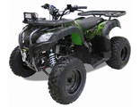 Утилитарные квадроциклы MOTAX ATV Grizlik 200 LUX