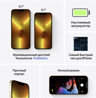 Apple iPhone 13 Pro 512GB (золотой)