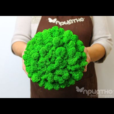 ЖИВАЯ ЭКО-КАРТИНА 1042