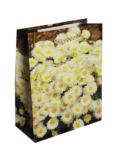 Пакетик подарочный Цветы 14х20х7см (микс)
