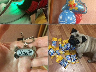 заготовки для брелков, адресники для собак, фурнитура для бижутерии, рукоделие, своими руками