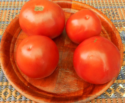 Томат Минусинские яблочные