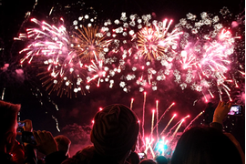 Парковый салют