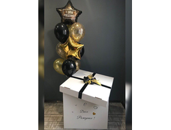 Коробка №6 с шарами