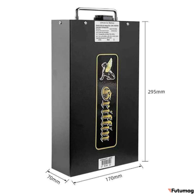 Аккумулятор для электроскутеров Citycoco 60V21Ah