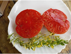 Томат Клавдия еремеевская