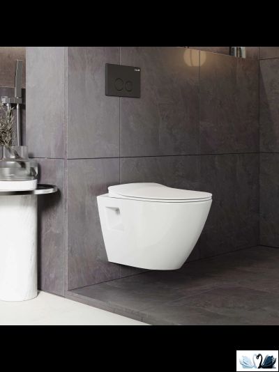 Чаша унитаза Creavit Terra TP329-11CB00E-0000 (TP329.00100), подвесная, безободковая