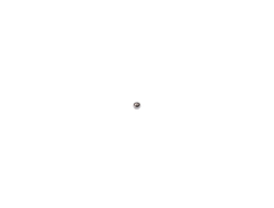 Ремкомплект для насоса 751-00500K, шарик клапана стальной (29) МАСТАК 751-00500KR10