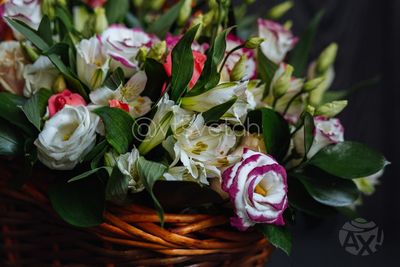 Композиция 17