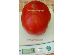 Томат Де Барао гигант