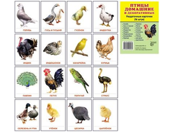 Демонстрационные карточки "Птицы домашние и декоративные"(63х87 мм)