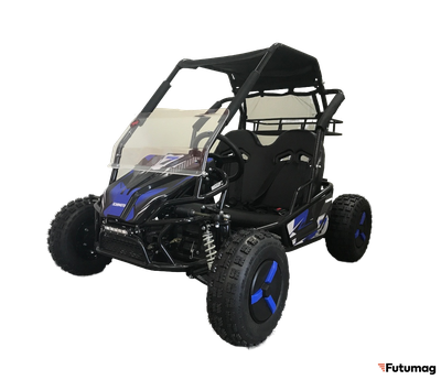 Багги SCANMOTO RAPID II