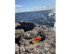 Духи НОТА: ДИКОЕ ПЛЕМЯ 5,5 мл