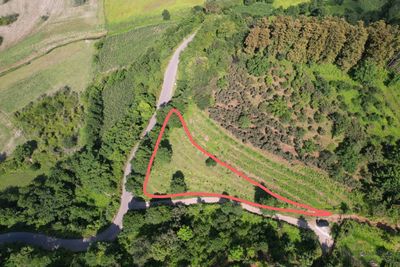 Тхилнари - пригород Батуми, продаётся земельный участок, 1500 кв.м. "НЕ Сельхоз"