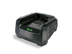 Зарядное устройство Greenworks GC82C