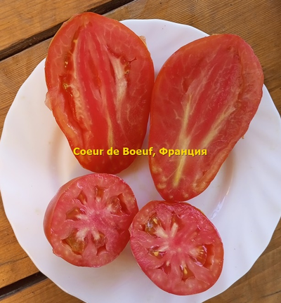 Томат Сердце быка (Coeur de Boeuf), Франция