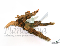 Натуральная коряга "Коралловая" XS 15-40 см