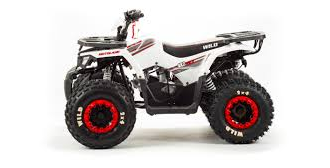 Квадроцикл VOX125 WILD