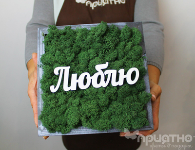 ЖИВАЯ ЭКО-КАРТИНА 1057