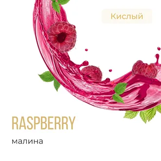 ELEMENT (ВОДА) 25 г. - RASPBERRY (МАЛИНА)