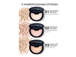 Компактная крем-пудра ArtworkLook Professional  РЕЛУИ
