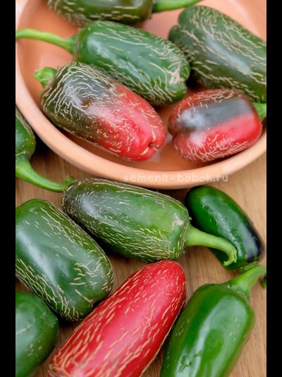 Перец острый Jalapeno Chichimeca, 10 шт