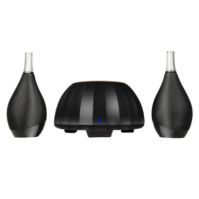 Акустическая система Microlab Bottlewine Black