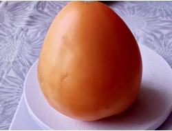 Томат Ранний оранжевый Розали (Rosalie’s early orange), США