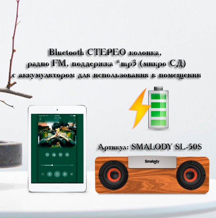 SMALODY SL-50S Bluetooth колонка СТЕРЕО, радио FM, с аккумулятором для использования в помещении