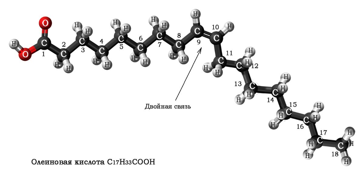 Шаростержневая модель олеиновой кислоты
