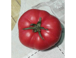 Семена томата Марманде