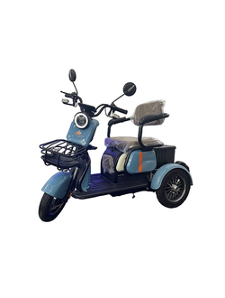 Электротрицикл Wenbox X-1