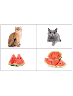 B8 Сортировка непохожих предметов.