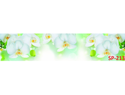 SP-213 Глянцевая стеновая панель ALBICO  2800*610*6мм.