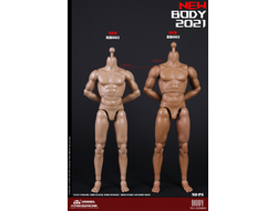 Тело с шеей, кистями и стопами - NEW TYPE STANDARD MALE BODY (MB003) - COOMODEL