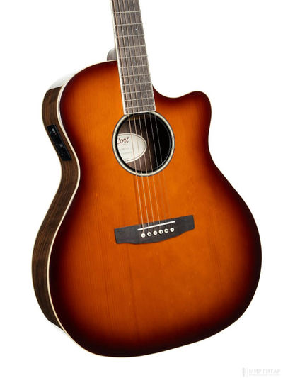 Cort Exotic-GA-Walnut-SS 12