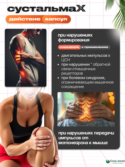 Сустальмакс: нейронные связи и здоровье вен